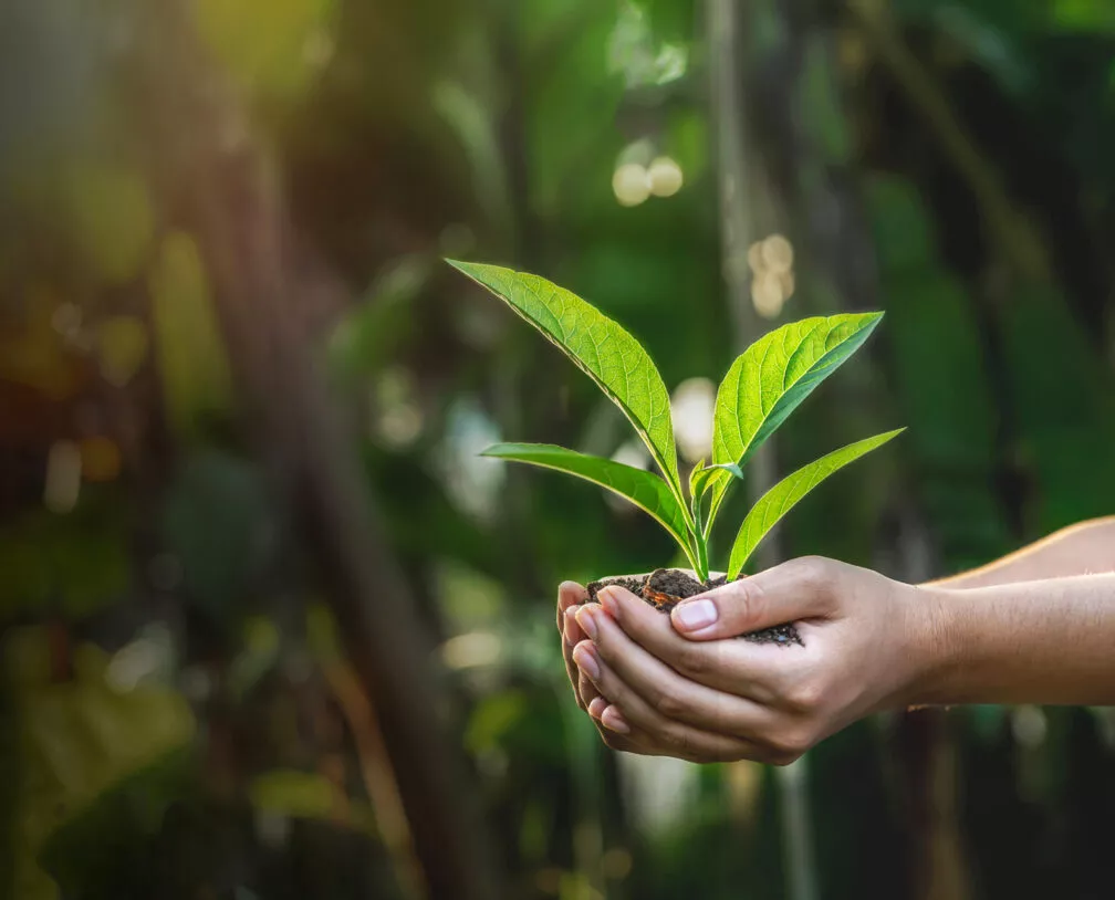 Environnement ; Ecologie ; Écologie